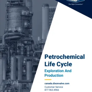 Petrochemical Life Cycle Exploration And Production