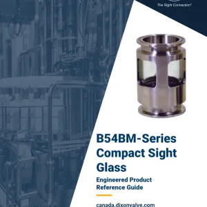 B54BM-Series Compact Sight Glass