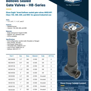 Bellows Seal Valves- H8-Series