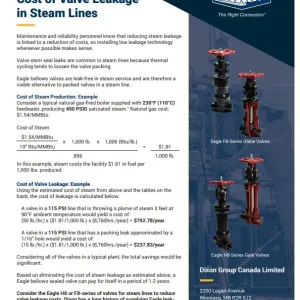 Quantifying the Cost of Valve Leakage in Steam Line
