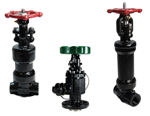 Eagle valve product group