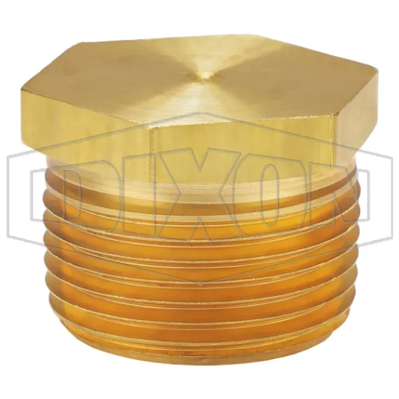 Hex Head Plug