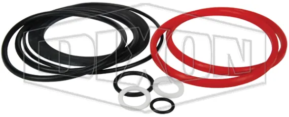 gate valve gasket repair kit_fsgv-rk_color_lg_watermarked.jpg