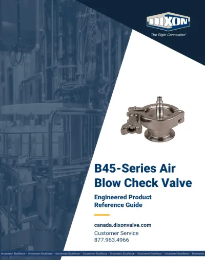 B45-Series Air Blow Check Valve