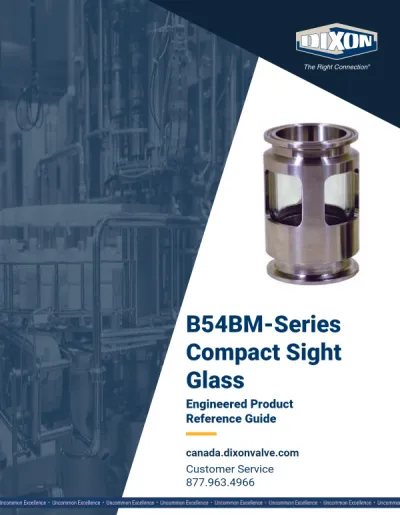 B54BM-Series Compact Sight Glass