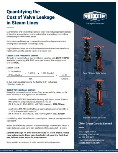 Quantifying the Cost of Valve Leakage in Steam Line