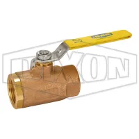 Check Valve | Dixon