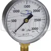 ABS Standard Dry Lower Mount Gauge