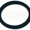 swivel washer
