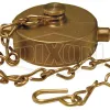 Brass Pin Lug Cap